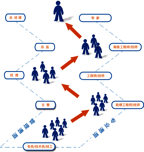 員工職業發展之路