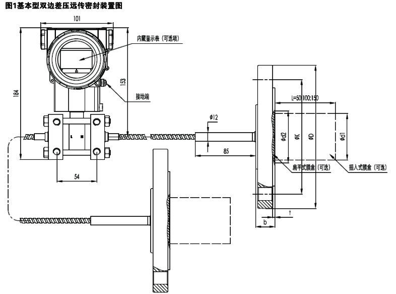 雙法蘭差壓變送器結構示意圖