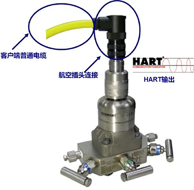 3051S壓力變送器的全封裝結構