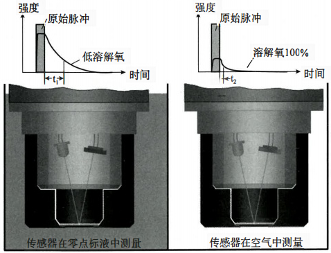 熒光法溶解氧傳感器系統測量原理