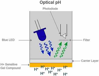 光學(xué)pH電極工作原理